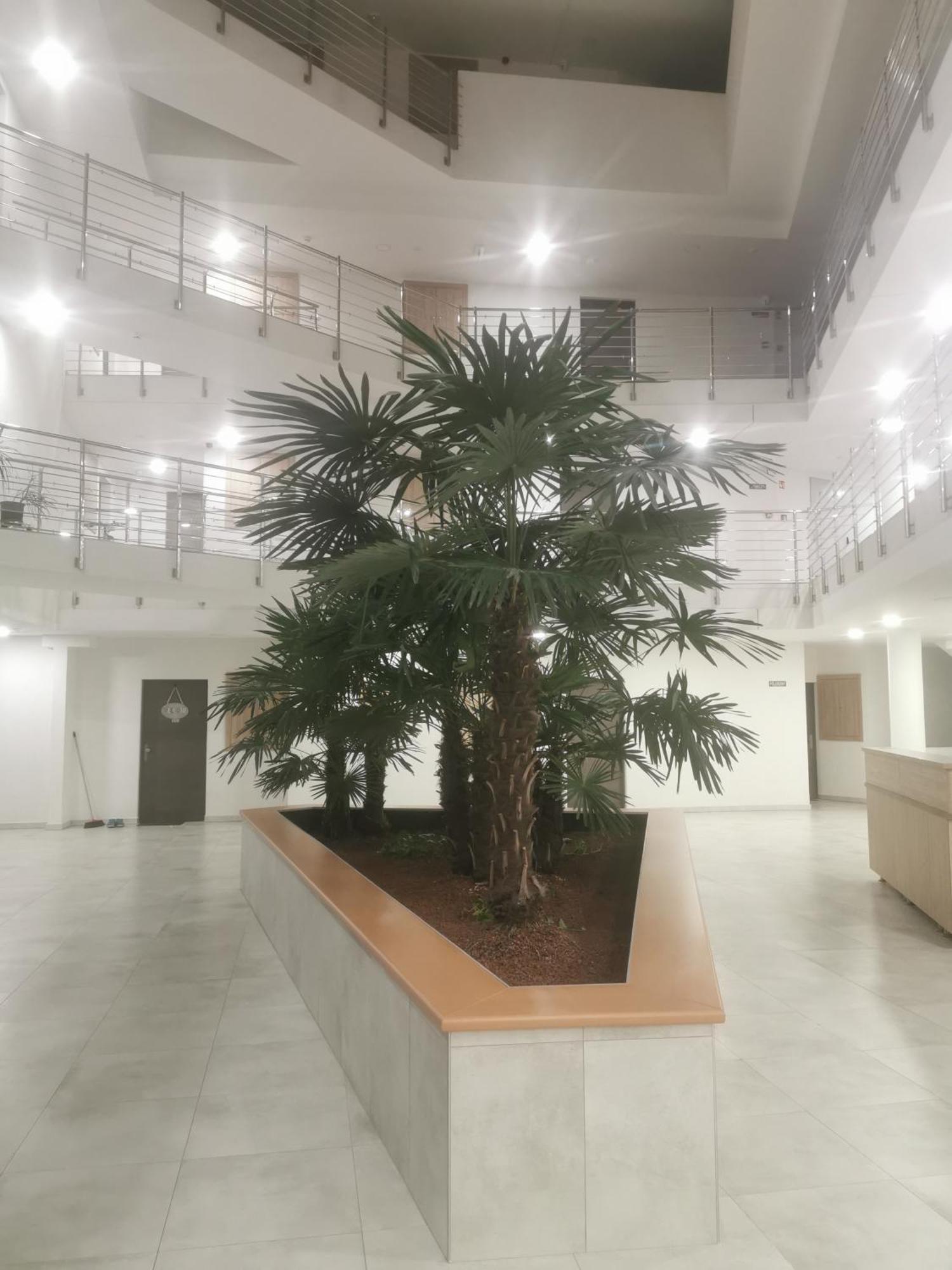 Beli Apartman Melygarazzsal Hévíz Exteriér fotografie